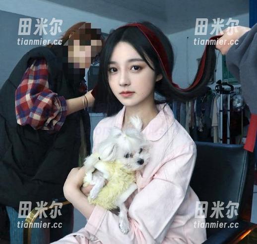 51cg 追求真相的境界:如何快速找到51cg.com官网的地址?