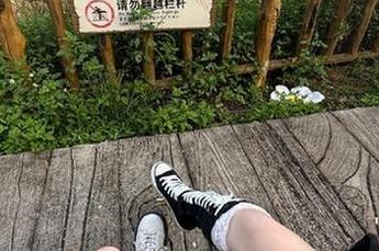 登录吃瓜网，一秒变瓜民，快来共享这个喧嚣的入口吧！