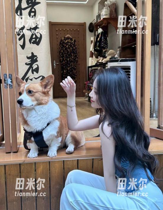 吃瓜网 在线吃瓜网发布:不怕走味,教你如何在线精准吃瓜!