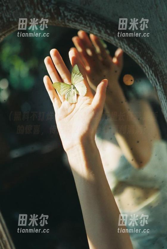 黑料不打烊 黑料不打烊,万里长征苹果版的惊喜,传送门2025带你福利满满!