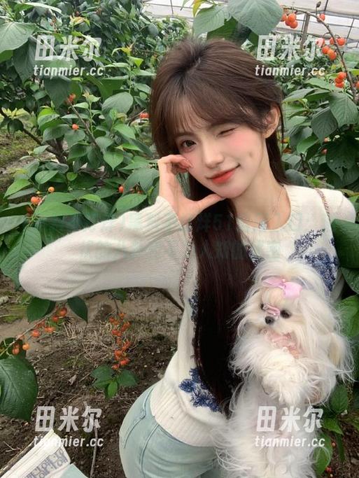 黑料不打烊 黑料不打烊51官网入口:潜伏的八卦和不为人知的秘密