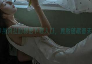 黑料社的秘密下载入口，竟然蕴藏着未解之谜！